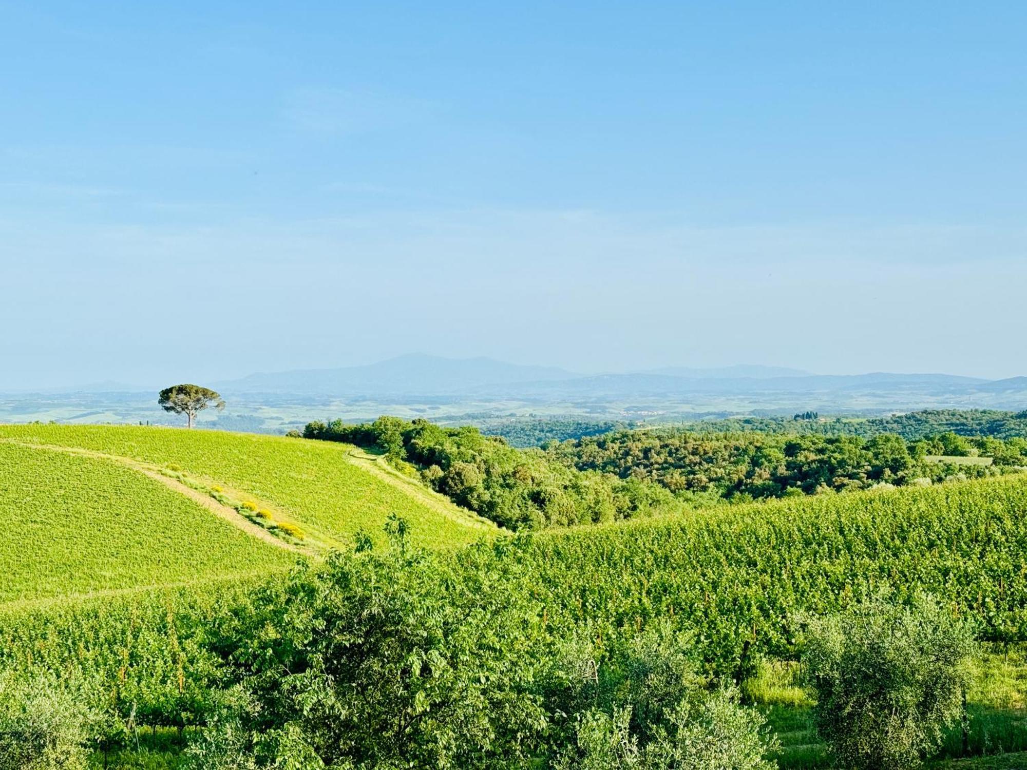 Libertas Tuscan Hideaway San Sano Exterior foto