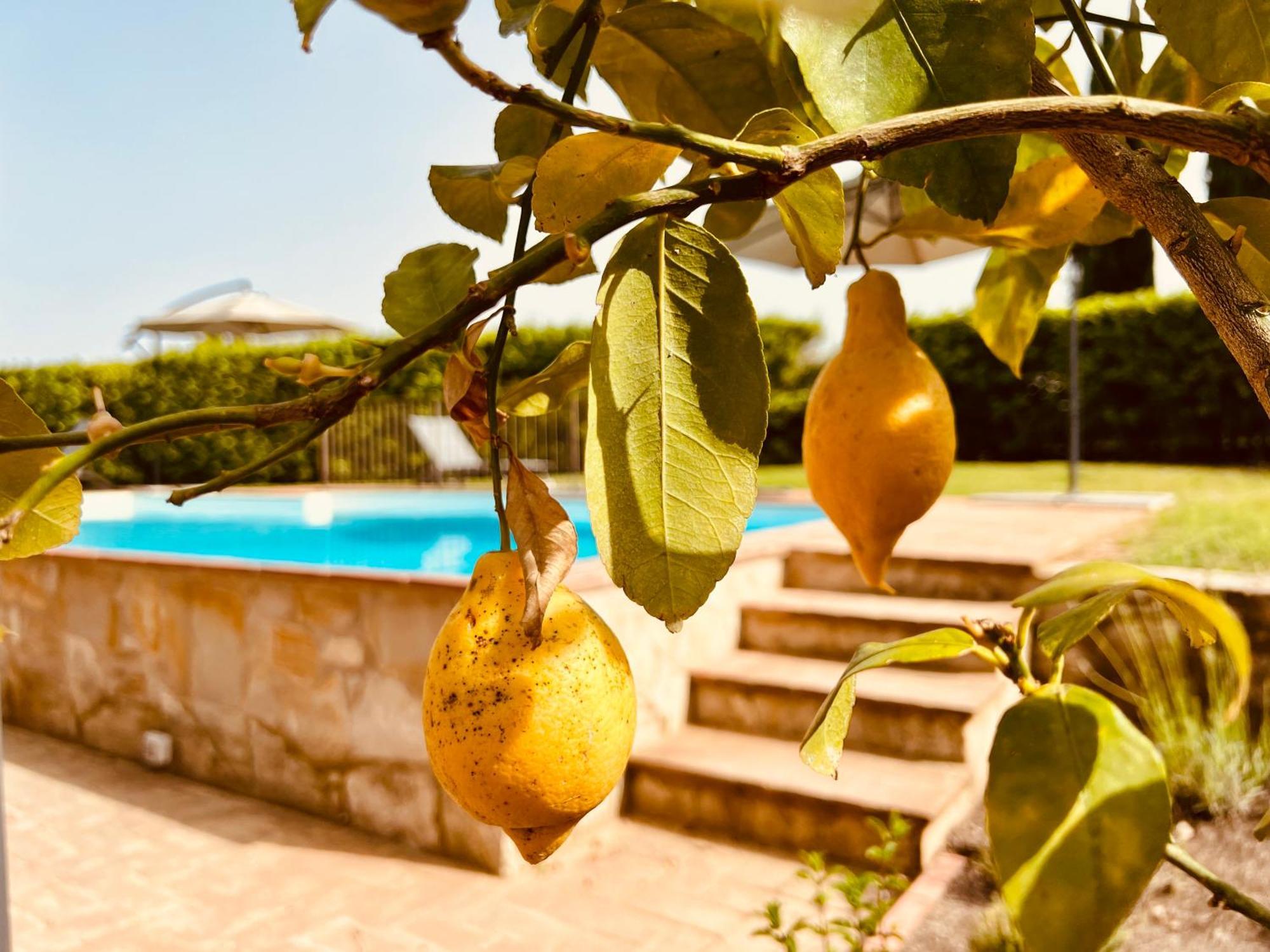 Libertas Tuscan Hideaway San Sano Exterior foto
