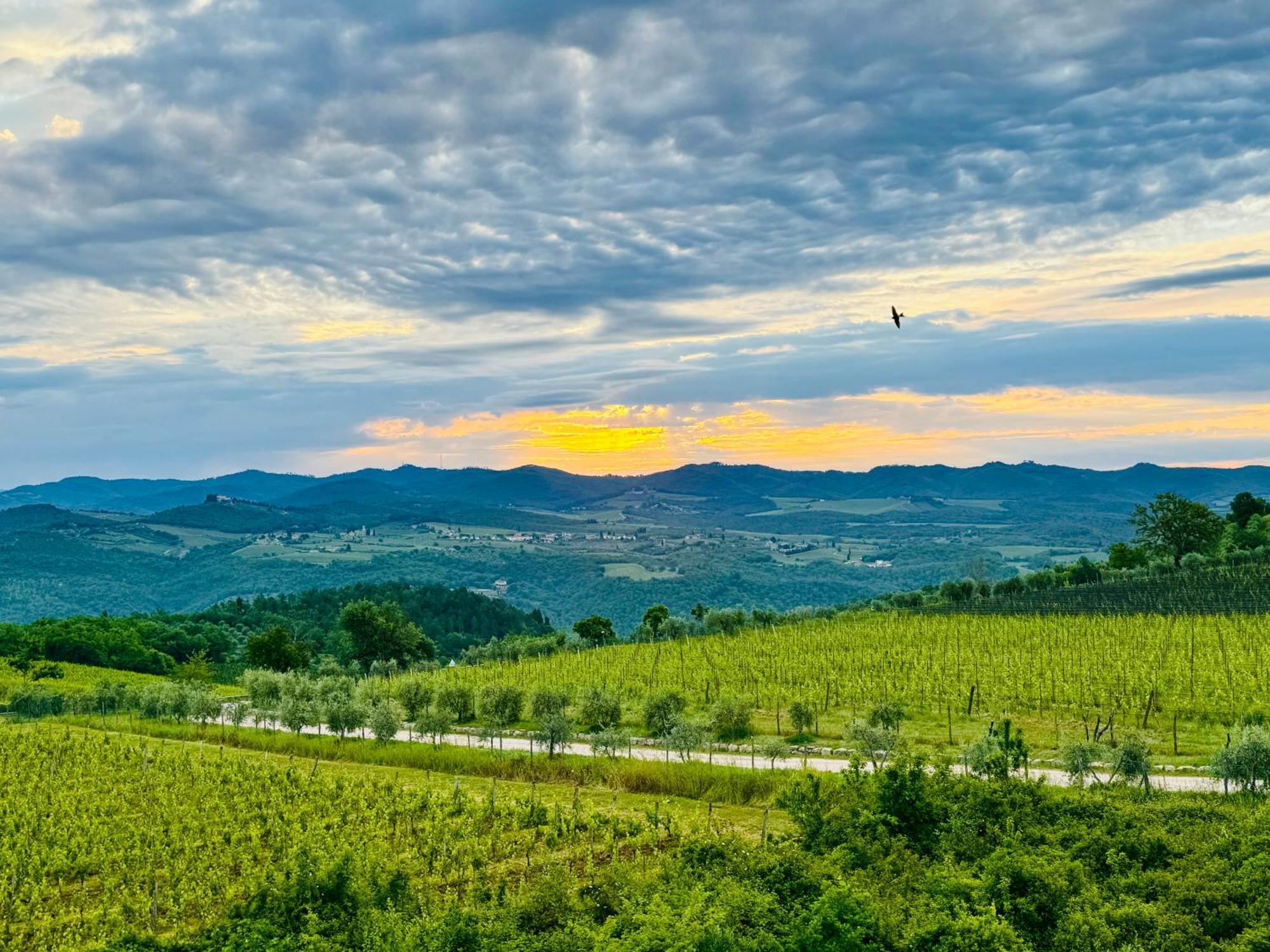 Libertas Tuscan Hideaway San Sano Exterior foto